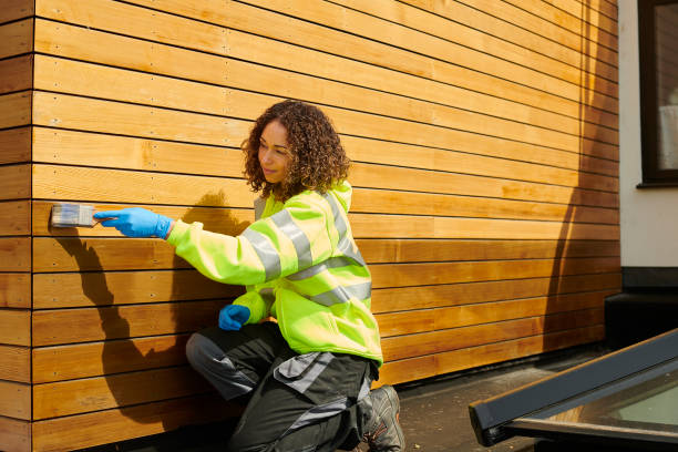 Best Siding for New Construction  in Idaho Springs, CO
